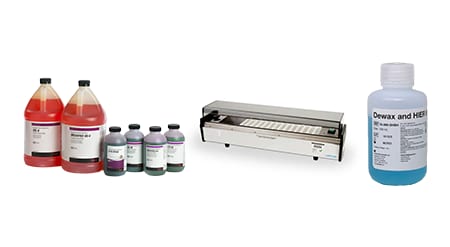 Epredia Immunohistochemistry Staining Banner